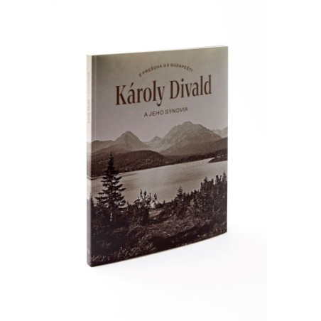 Károly Divald a jeho synovia