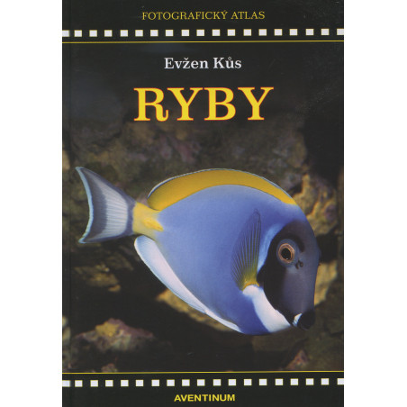Ryby