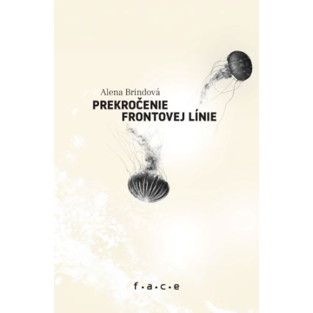 Prekročenie frontovej línie