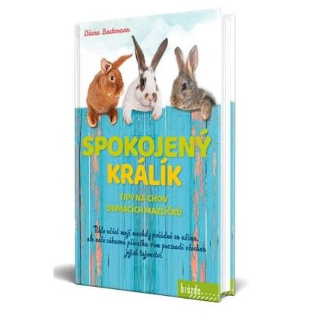 Spokojený králík