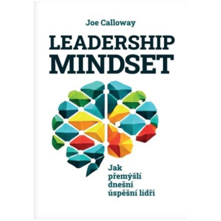 Leadership mindset