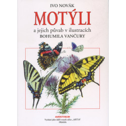 Motýli a jejich půvab