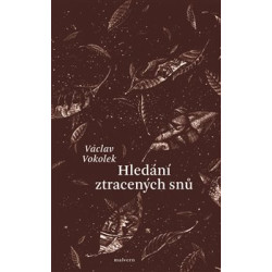 Hledání ztracených snů