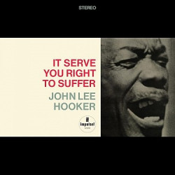 Hooker John Lee: It Serve You Right To Suffer