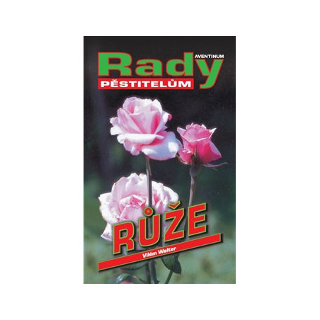 Růže