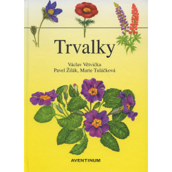 Trvalky