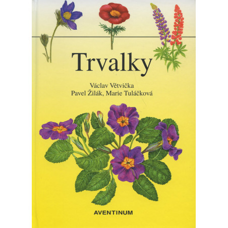 Trvalky