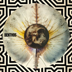 Benthos: From Nothing