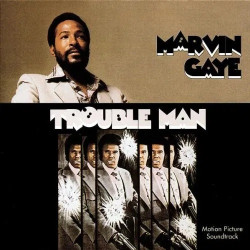 Marvin Gaye: Trouble Man