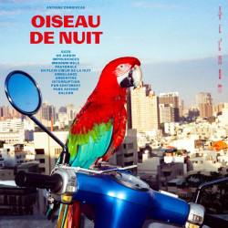 Antoine Corriveau: Oiseau De Nuit