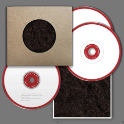 Swans: Birthing