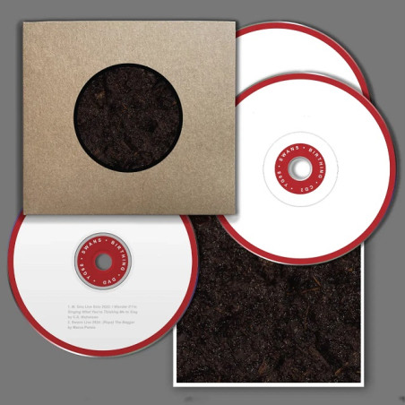 Swans: Birthing
