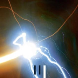 Pantha Du Prince: Triad