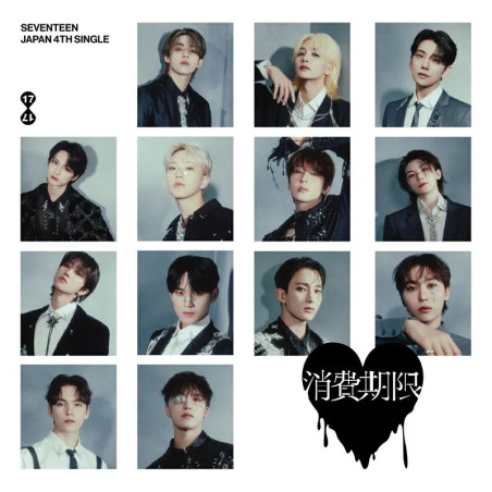 Seventeen: ShohiKigen