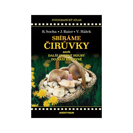 Sbíráme čirůvky a další chutné houby do naší kuchyně