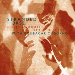 Stranded Horse: The Warmth You Deserve