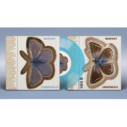 Warpaint: 7-Common Blue/Underneath / Blue