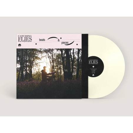 Catching Flies: Beats & Pieces
