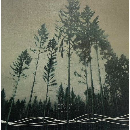 Wouter Dewit: Hold