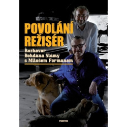 Povolání režisér