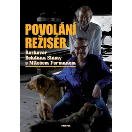 Povolání režisér