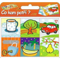 Co kam patří? - Puzzle