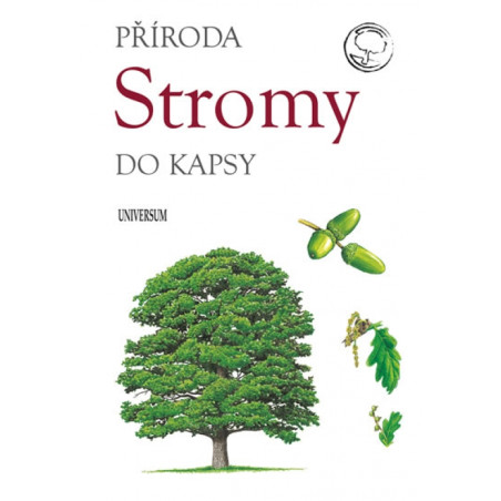 Stromy