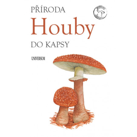 Houby