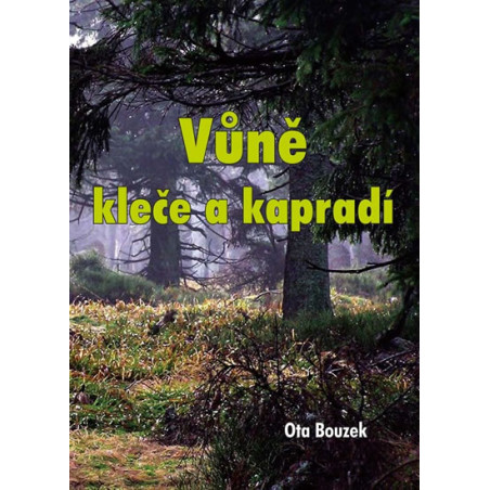 Vůně kleče a kapradí