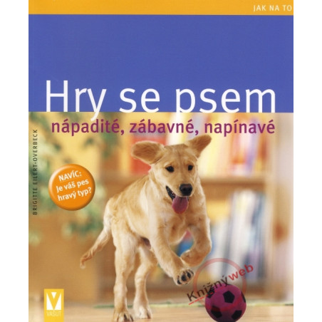 Hry se psem - nápadité, zábavné, napínavé - Jak na to