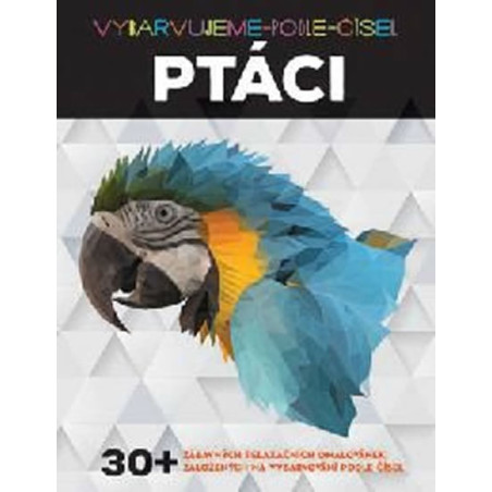 Ptáci - Vybarvujeme podle čísel