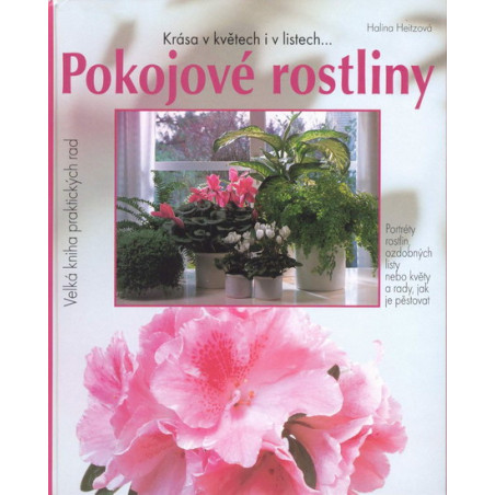 Pokojové rostliny - Krása v květech i v listech...