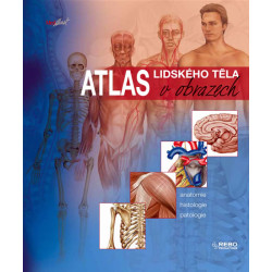 Atlas lidského těla v obrazech