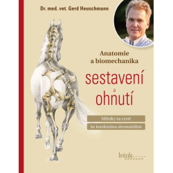 Anatomie a biomechanika sestavení a ohnutí - Milníky na cestě ke korektnímu shromáždění