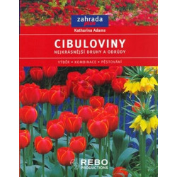 Cibuloviny- zahrada plus