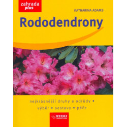 Rododendrony