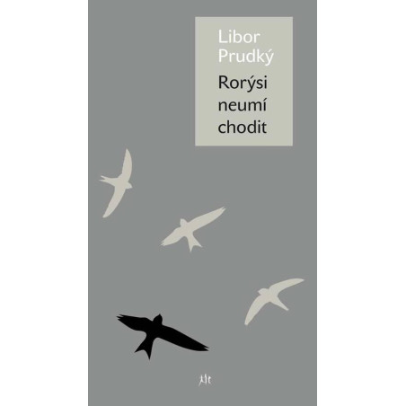 Rorýsi neumí chodit