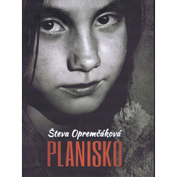 Planisko