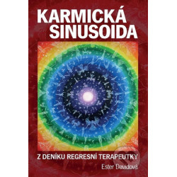 Karmická sinusoida - Z deníku regresivní terapeutky