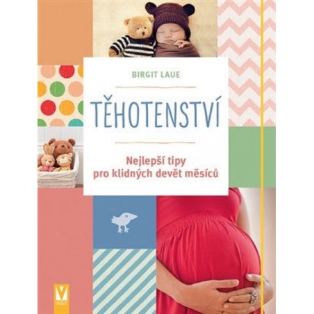Těhotenství