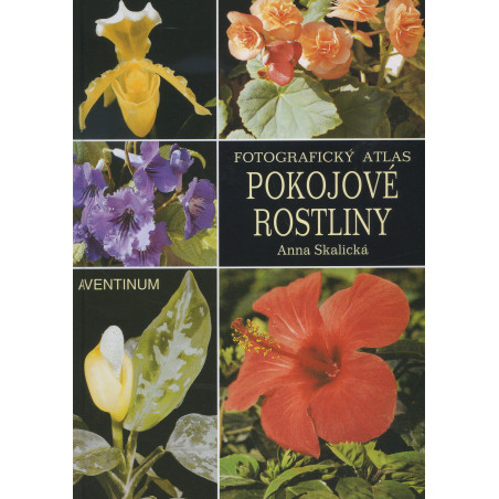 Pokojové rostliny