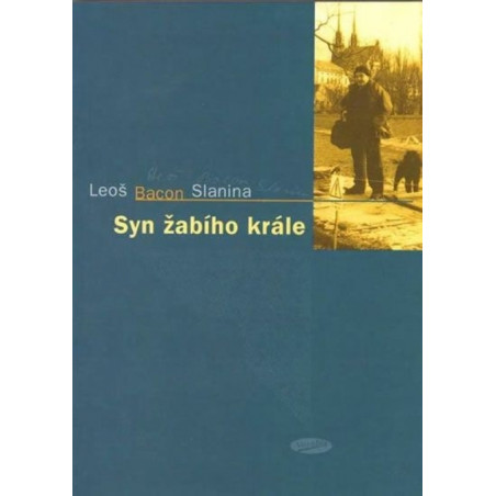 Syn žabího krále