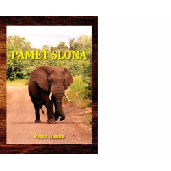 Paměť slona
