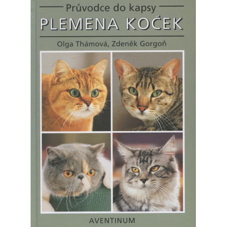 Plemena koček