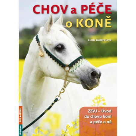 Chov a péče o koně
