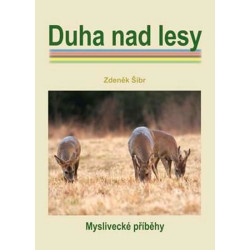 Duha nad lesy
