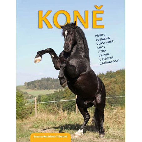 Koně - původ, plemena, vlastnosti, chov, jízda, výcvik, ustájení, zajímavosti
