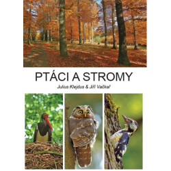 Ptáci a stromy