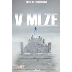 V mlze