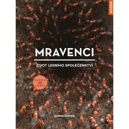 Mravenci - Život lesního společenství